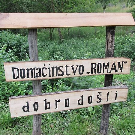 Country House Roman Doboj Luaran gambar
