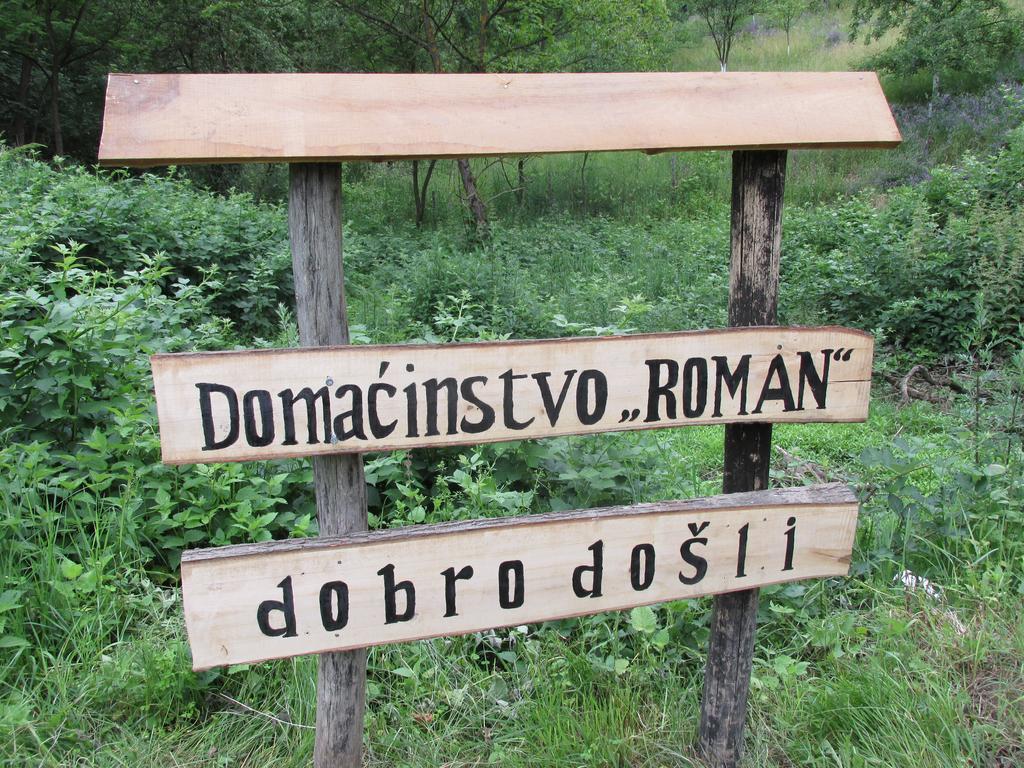 Country House Roman Doboj Luaran gambar