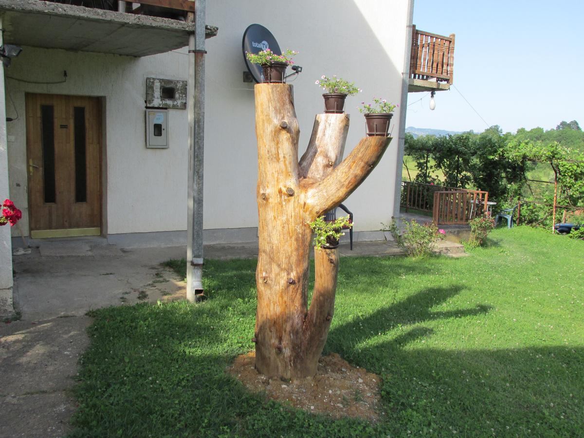 Country House Roman Doboj Luaran gambar